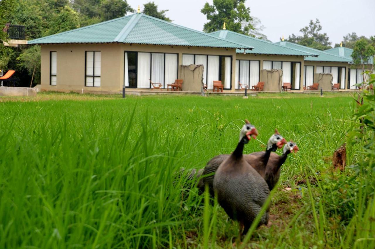 King's Resort Sigiriya