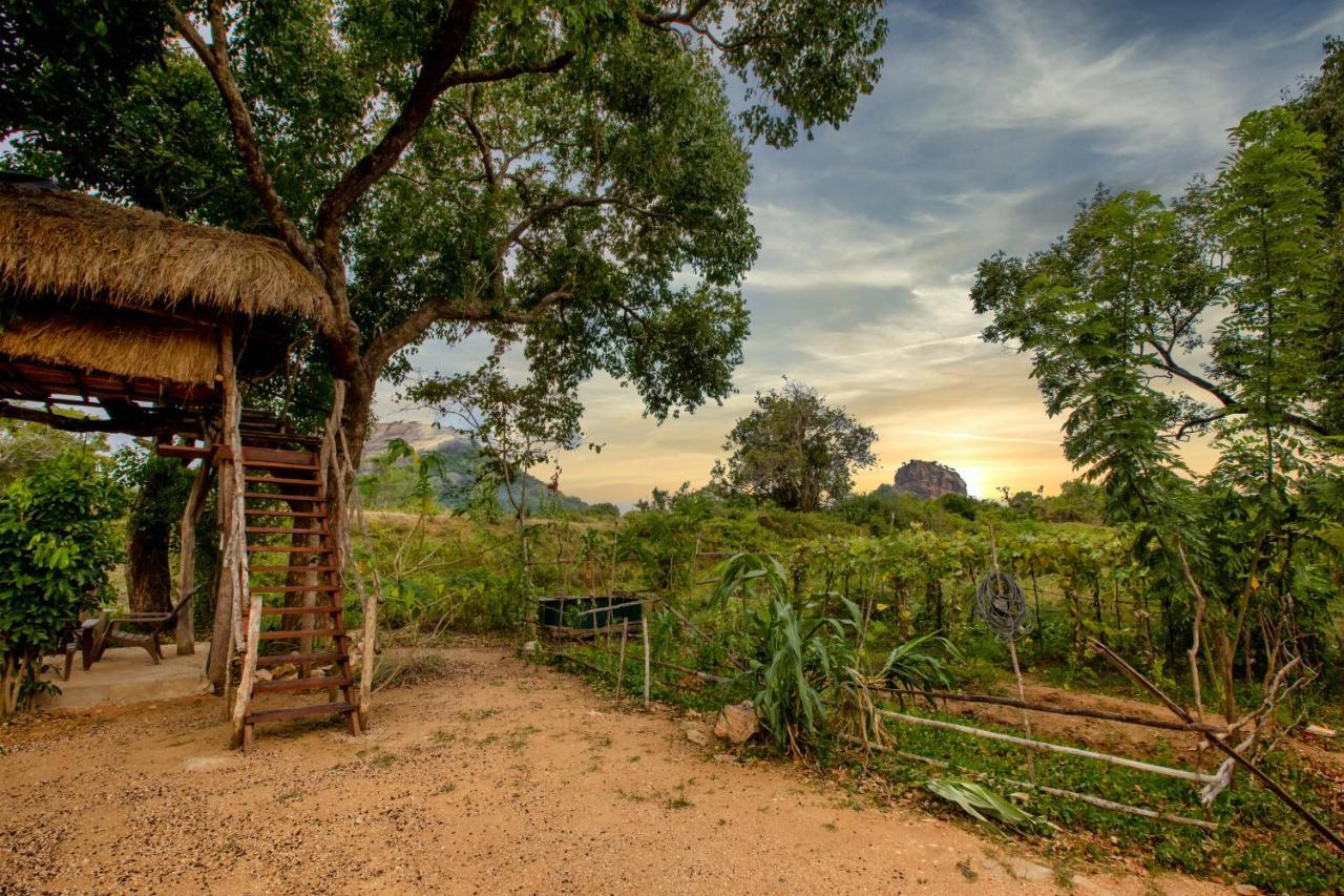 King's Sigiriya